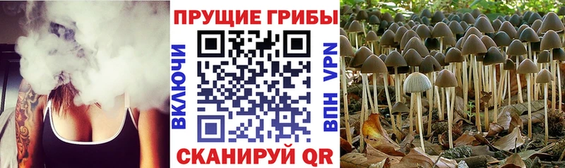 Псилоцибиновые грибы ЛСД  darknet формула  Химки 